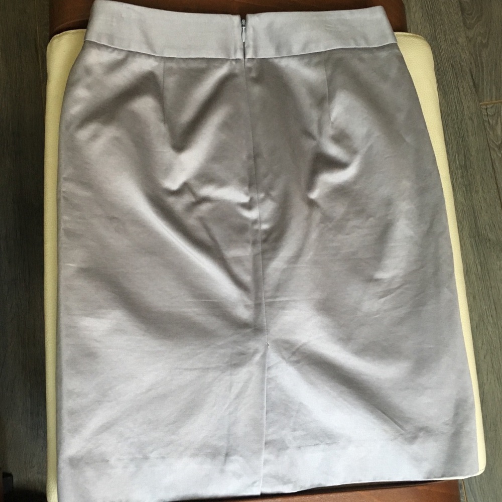 J Crew Skirt